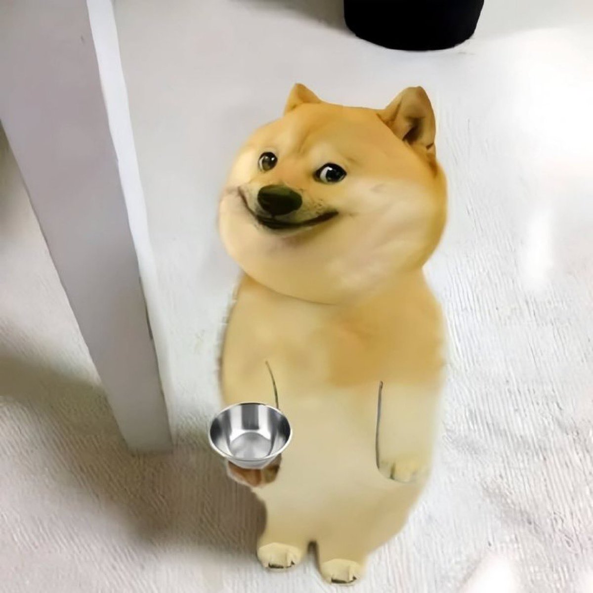 Apophenic nigga tweet media