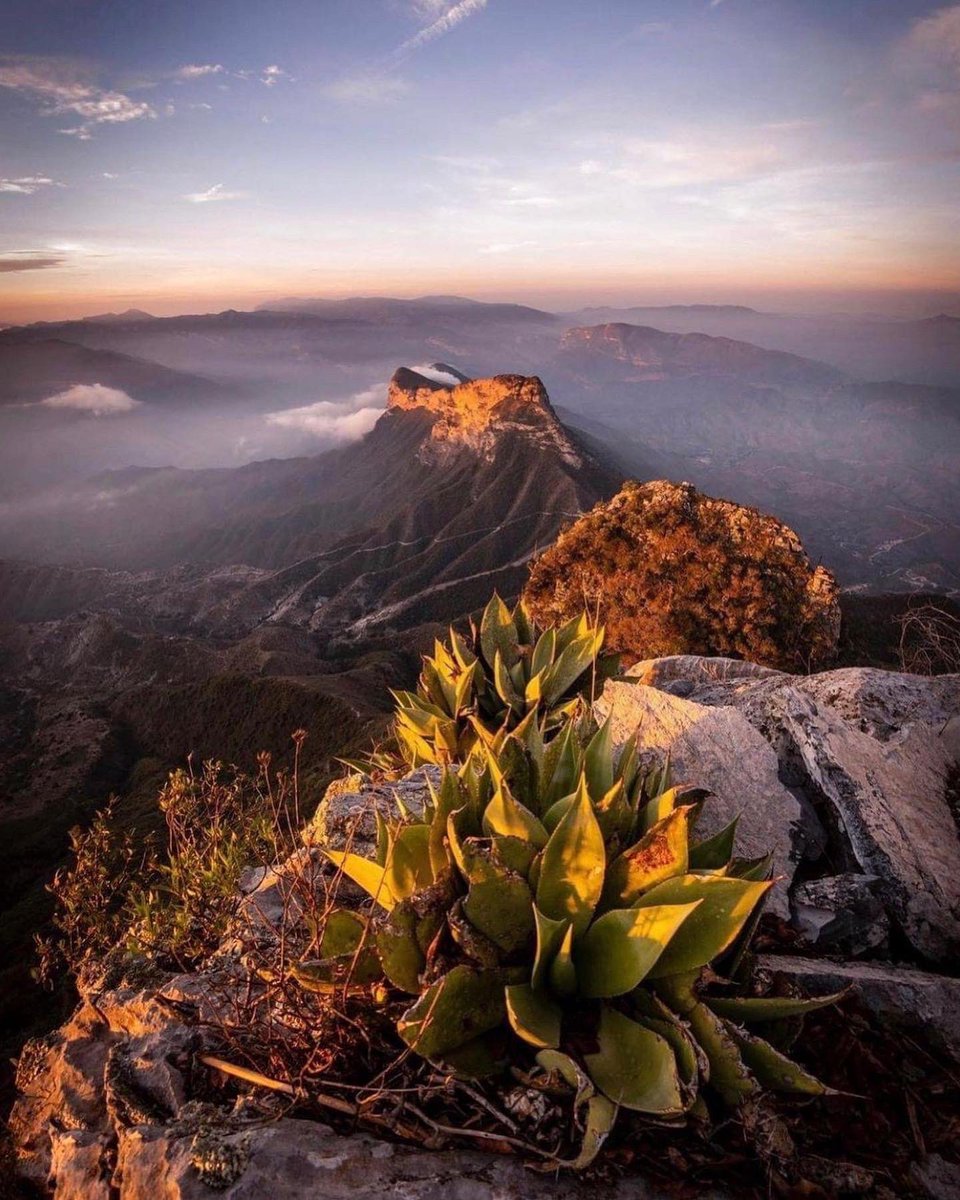 Omar_Castrejon's tweet photo. Mirador de Cuatro Palos, Pinal de Amoles #Querétaro, México. 🇲🇽
Que tengas un día así de extraordinario y lleno de bendiciones.
#FelizViernes
#PresumeAQro https://t.co/tafegMFfmT