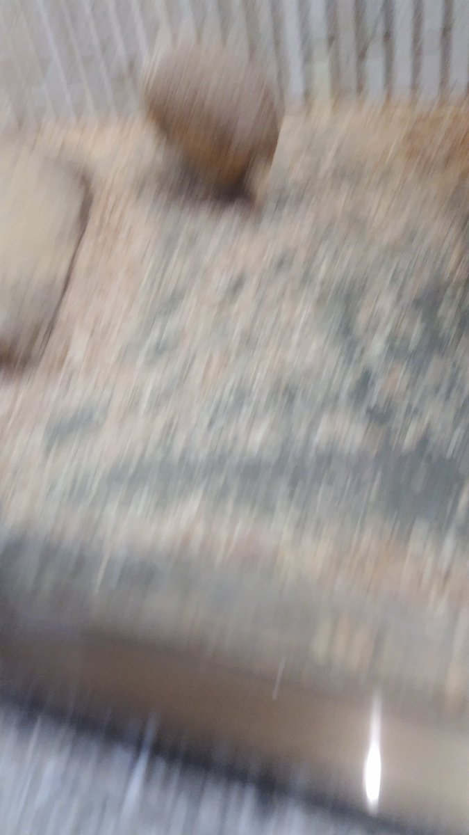 干物 tweet media