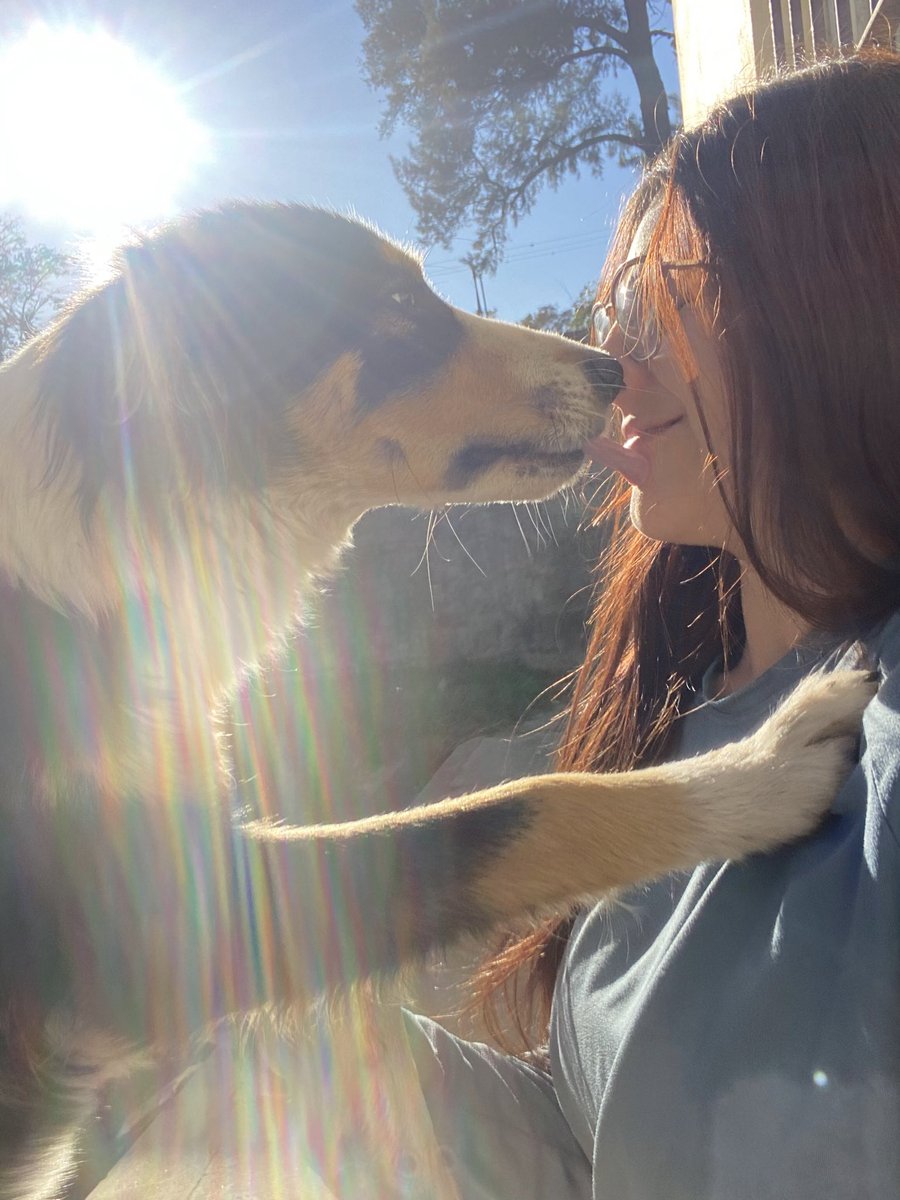 AvrilGahn's tweet photo. mi mejor compañero,te extraño🤍 https://t.co/25JF2c3qAi