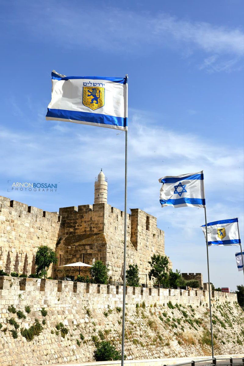 Israel ישראל tweet media