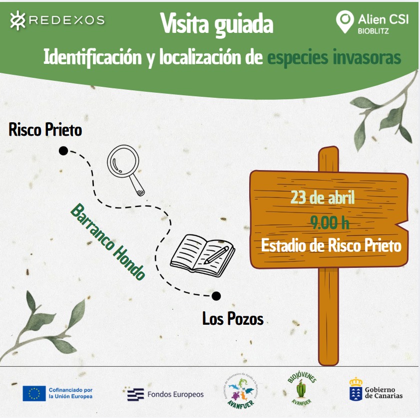 RedEXOSGobcan's tweet photo. 🔥🔥Comienzan a llegar convocatorias para nuestro Alien BIoblitz Canarias 2026 (evento anual de identificación de especies invasoras en la app RedEXOS). Esta primera en #Fuerteventura y gracias a @bioavanfuer | +info el lunes en nuestro Taller virtual (https://t.co/o3b8tbr5gk) 😍 https://t.co/XV5eUI6KEt