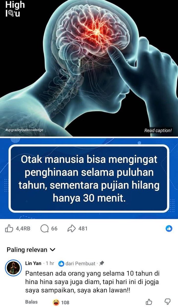 DEMA tweet media