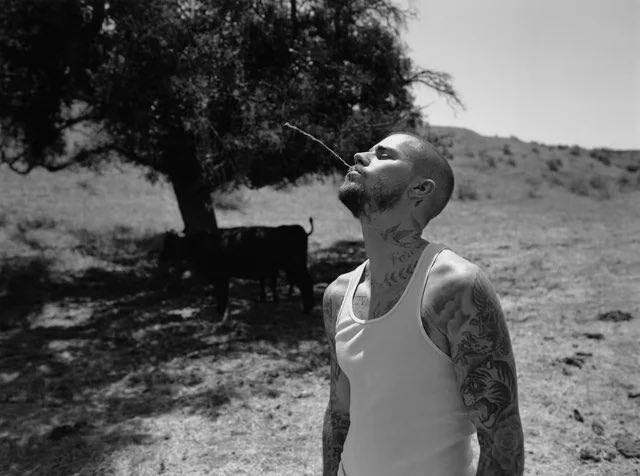 JBCrewdotcom's tweet photo. “I feel like Bieberchella has really made me think about how precious Justin Bieber is and how much good music he gave us in sacrifice of his childhood. So thank you Justin Bieber. You gave us really great memories. We appreciate it”- Conan Gray in a recent interview. https://t.co/REjvWNviL4