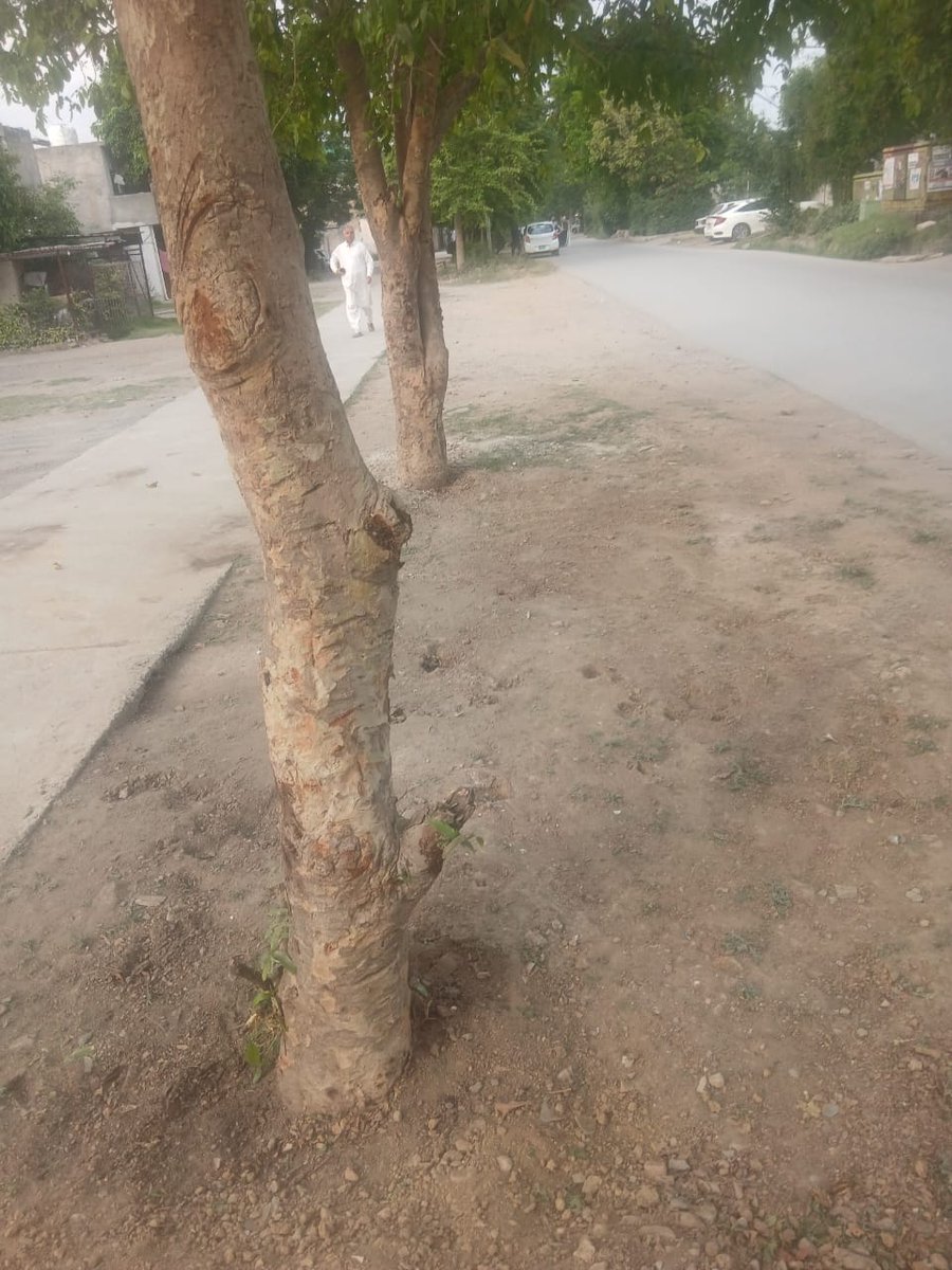 Capital Development Authority - CDA, Islamabad tweet media