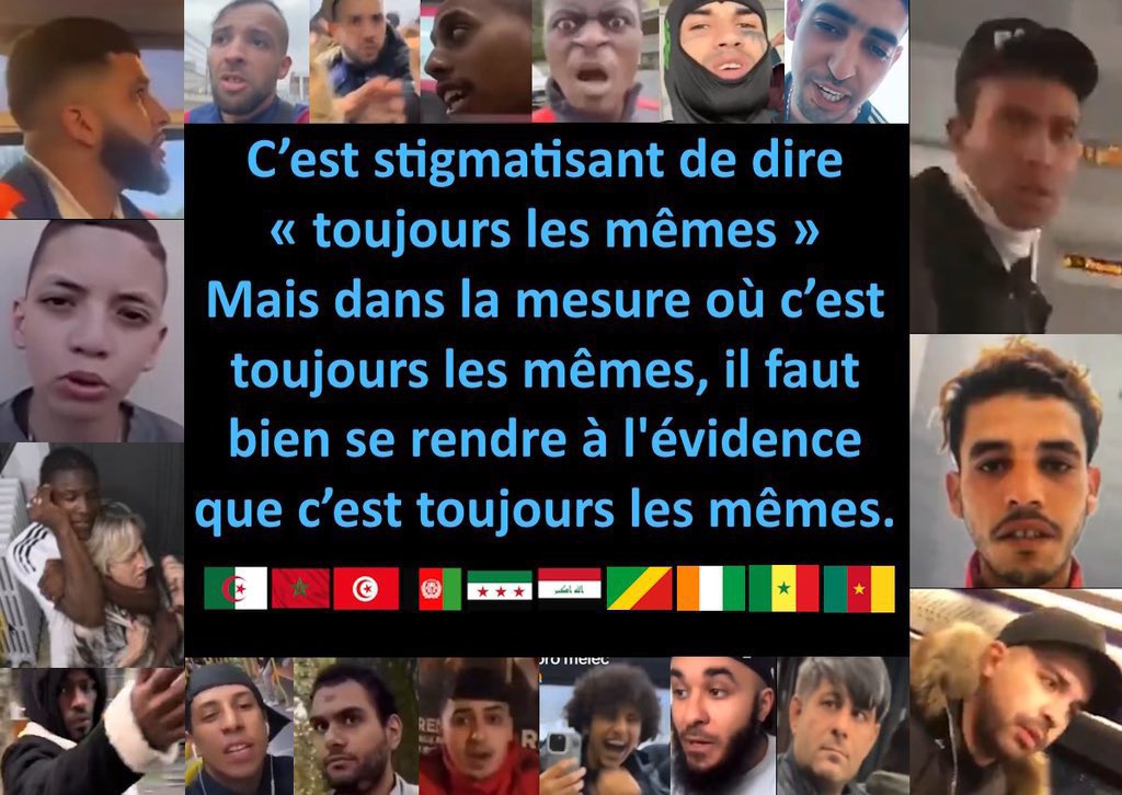 Marie-Framboise 🇨🇭 🇫🇷 🐾 🎗️ tweet media