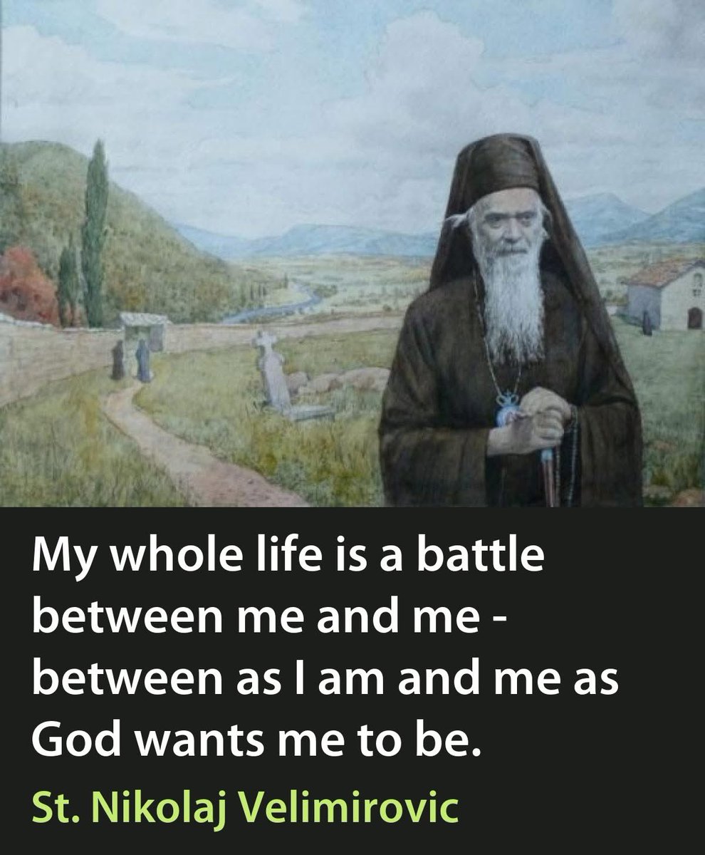 Fr. Michael Lillie tweet media