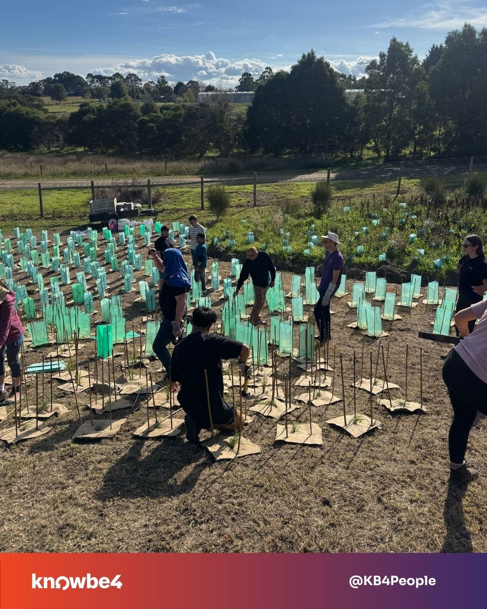 KB4People's tweet photo. 780 trees planted! 🌳

Our team in Australia crushed it, partnering with The Tree Project to restore native habitats. 32 volunteers spent the day planting wattles and tea trees that will thrive for up to 150 years.

Want to help? Support the mission here: https://t.co/QBlvNDxwvN https://t.co/VHPUnp0DS4