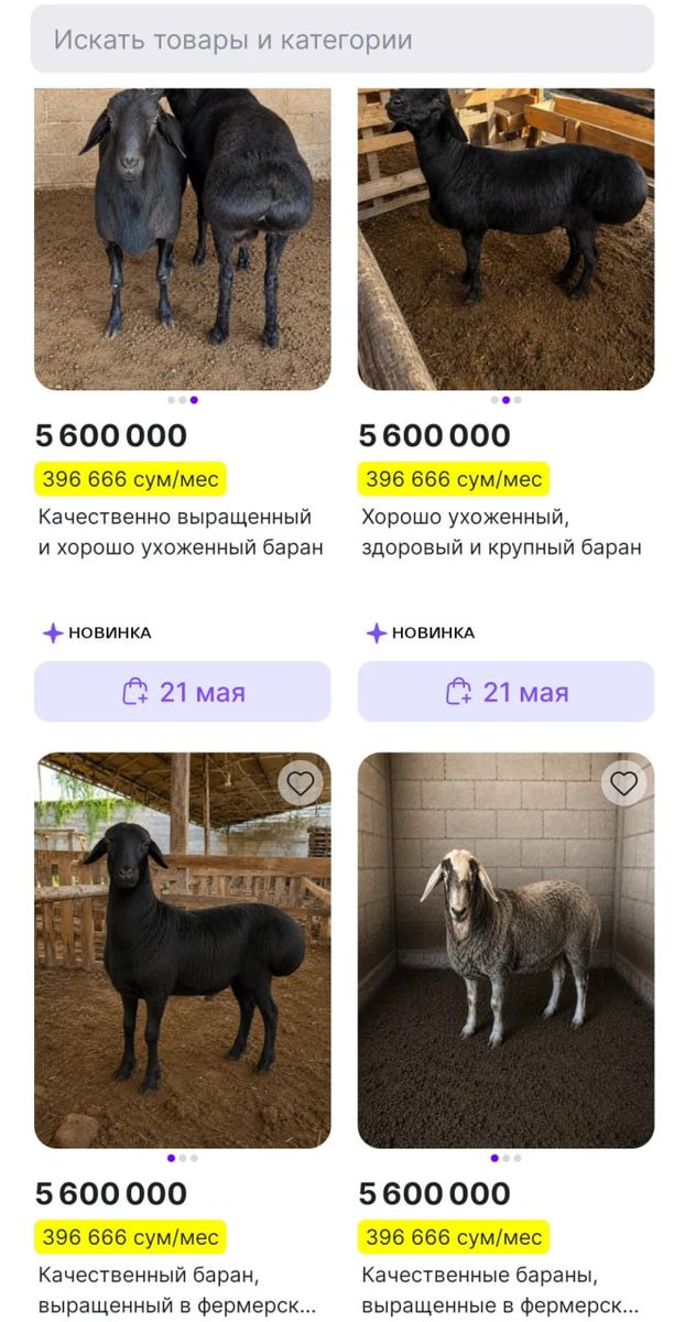 NEXTA tweet media