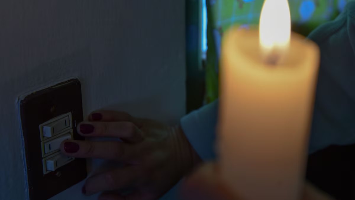 El Financiero tweet media