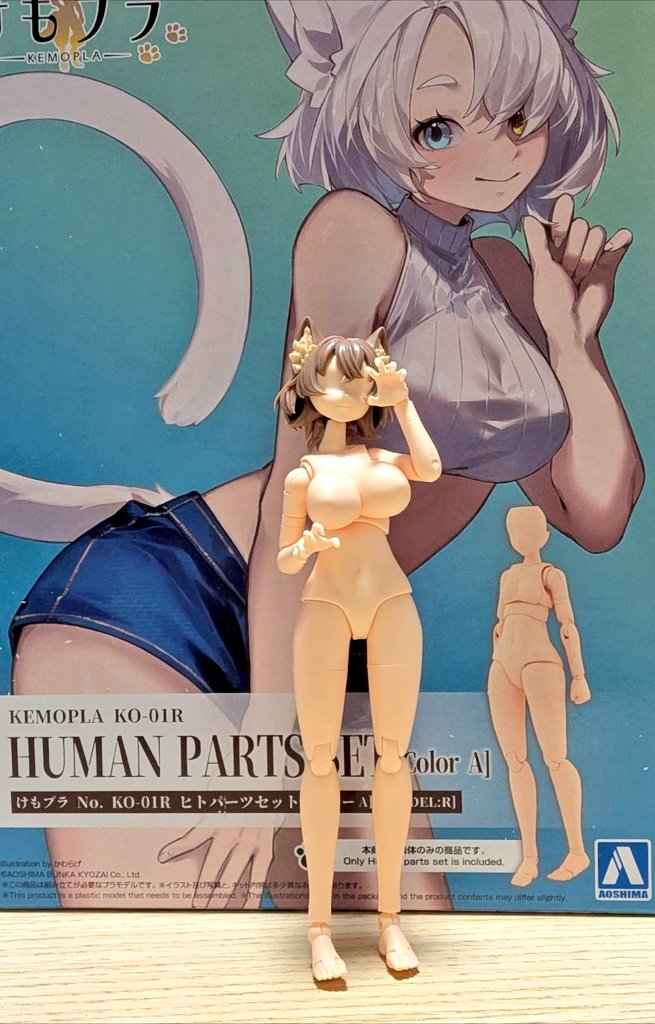 _ct110_'s tweet photo. アオシマのけもプラを購入しました
早速作ったのですが、色々面白かったです
ちょっと噛み合わせとかは削ったりが必要ですが（個体差かも）
後で布服を試着してもらうつもりです👍️ https://t.co/l5gvGBVYHK