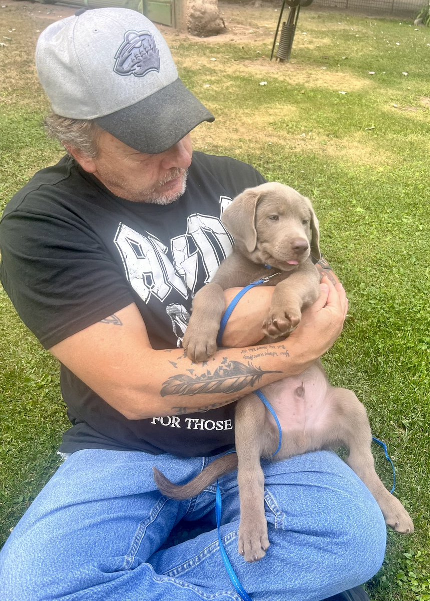 jakesilverlab's tweet photo. We forgot throwback Thursday yesterday!
So here’s a throwback to the day we brought home Jackson!! 🩶🩶🩶 https://t.co/sVH6kJqCAT