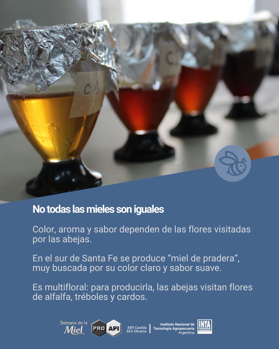INTASANTAFE's tweet photo. 🍯🐝🇦🇷🌺Desde el @intaargentina y el @INTAProapi   continuamos acompañando al sector apícola con investigación, desarrollo y herramientas para fortalecer una producción sustentable y de calidad.
#semanadelamiel2026
#miel2026
#mielargentina
#intaoliveros
#apicultura
#proapi https://t.co/GM9KUiSYju