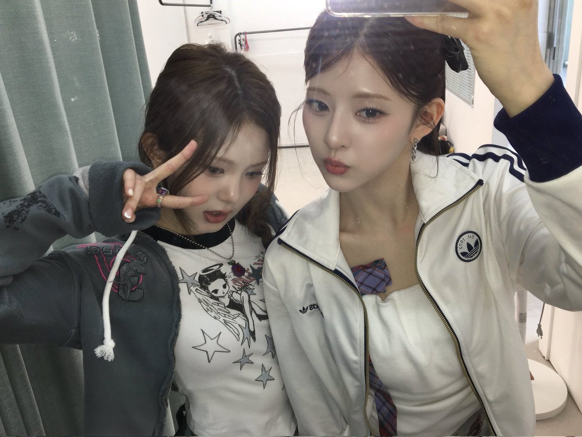 도리 tweet media