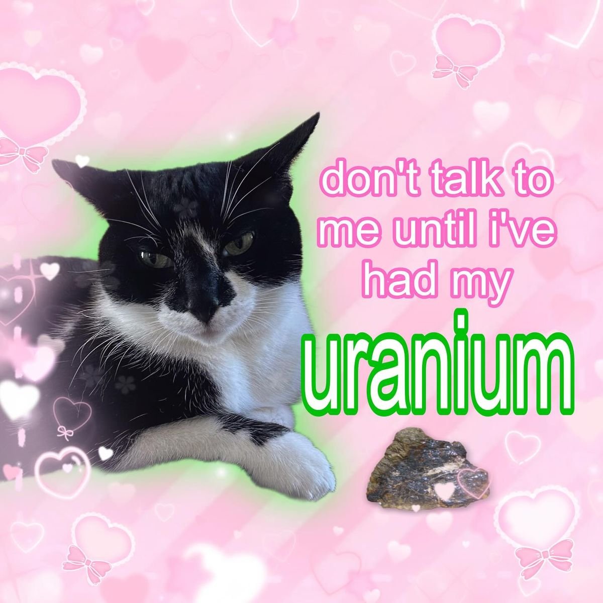 𝖈𝖍𝖆𝖇𝖆𝖟𝖎𝖙𝖊 tweet media