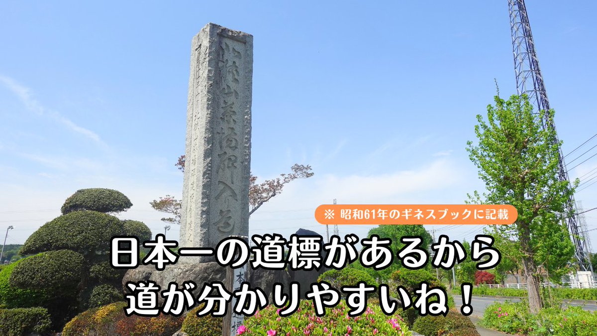 燈火ちゃこ☘入間の魅力を発信✨ tweet media