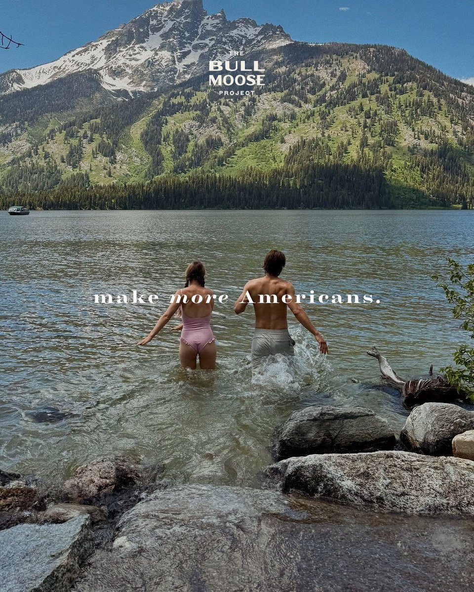 The Bull Moose Project tweet media