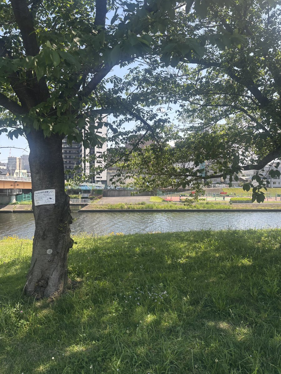 _wakac's tweet photo. ひとり時間が大好き https://t.co/oLZllf4Jh1