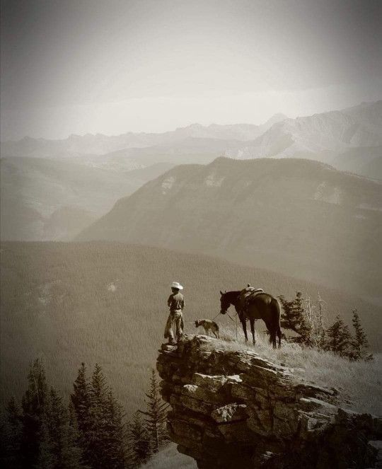 The Bull Moose Project tweet media