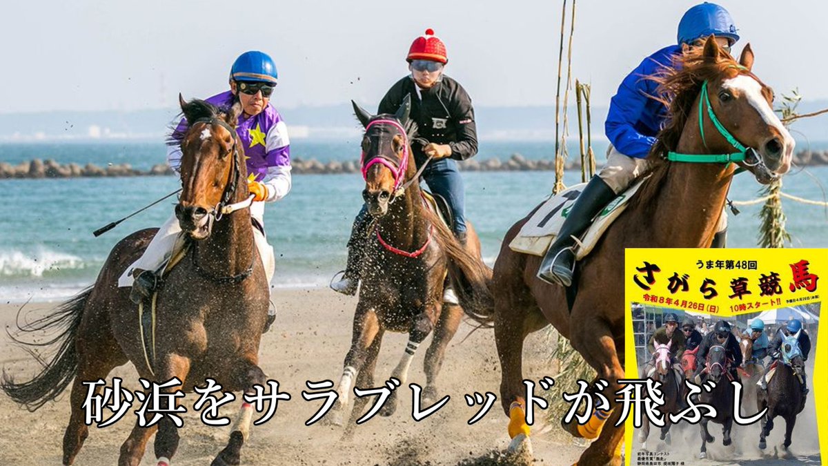 瑚乃しろ tweet media