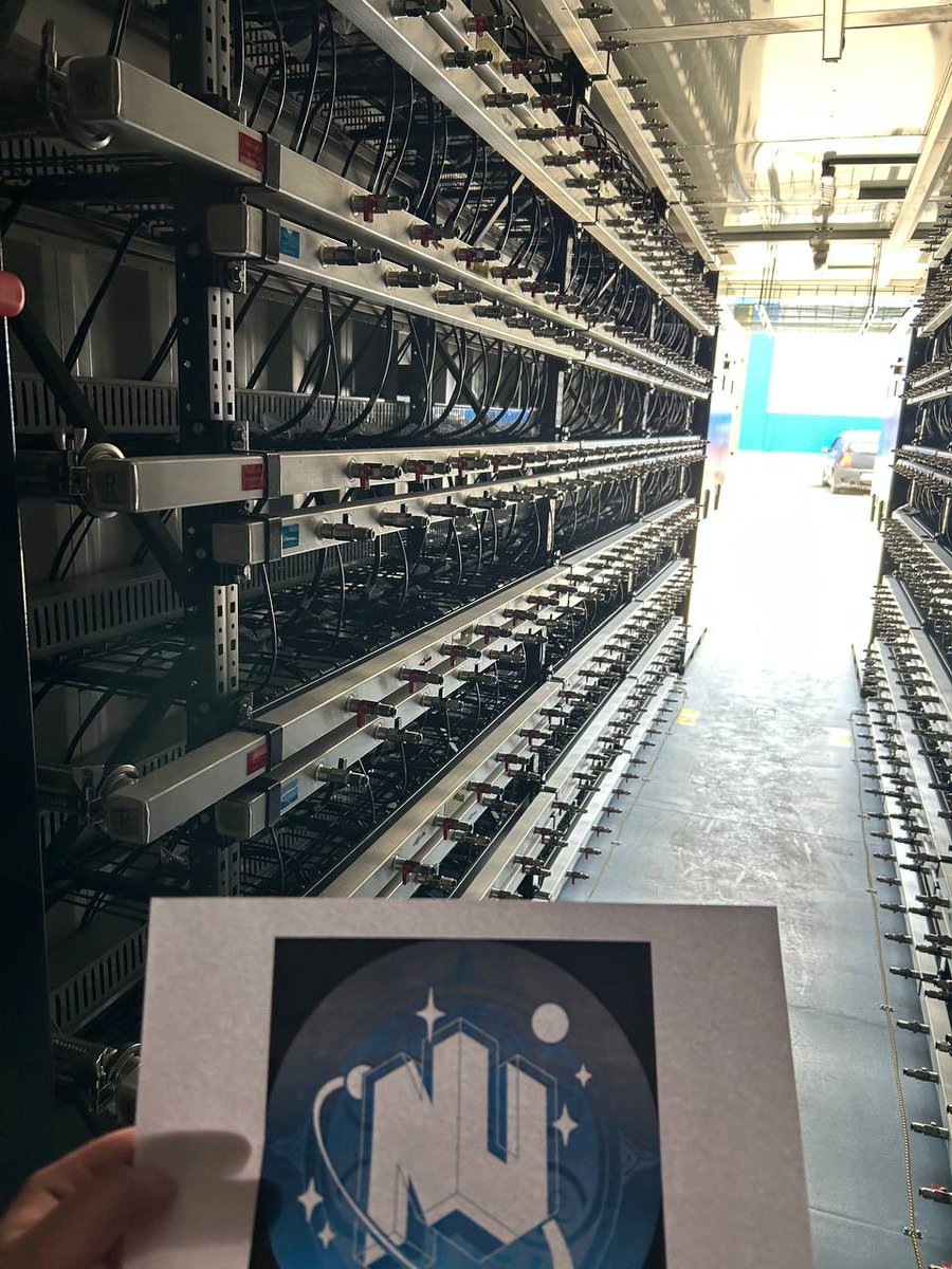 Neo Vikings $NV tweet media