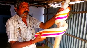 Balaji Pa tweet media