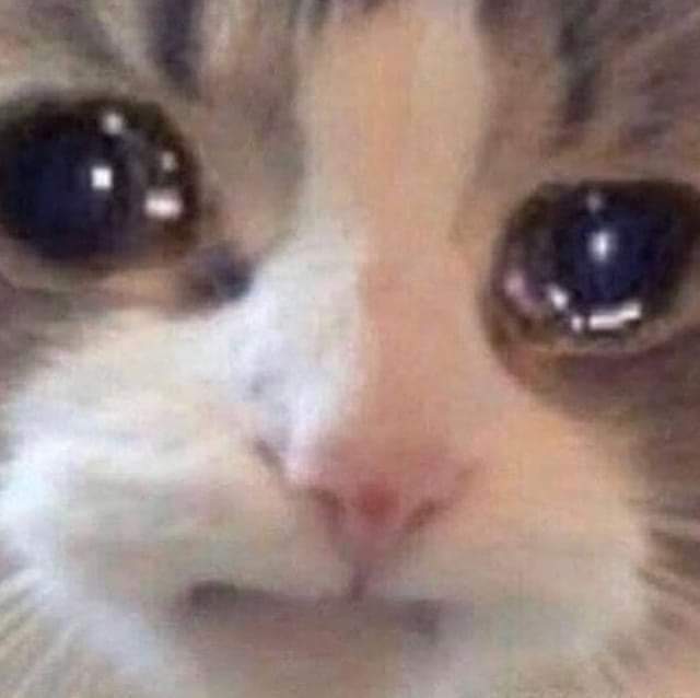 penumbrapple's tweet photo. @calajms Wish I even *had* wired earphones to use 😭

(Somehow read "wired" as "weird" in the beginning tho) https://t.co/wcDywXPvD2