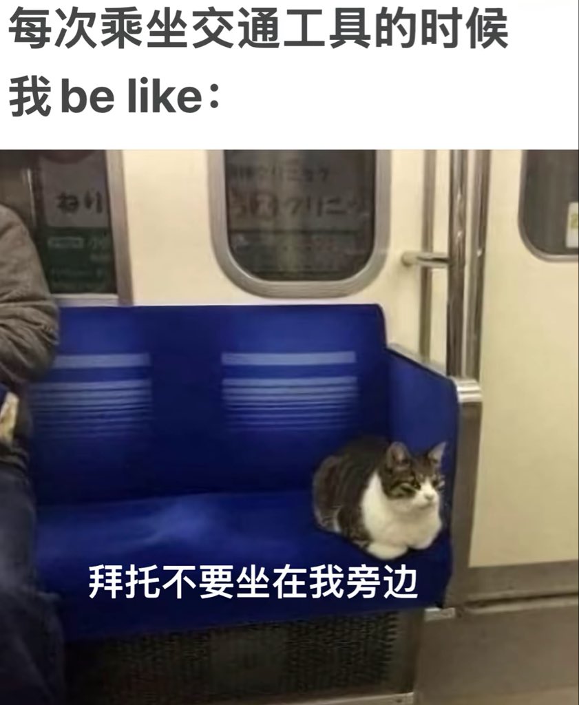 恋 tweet media