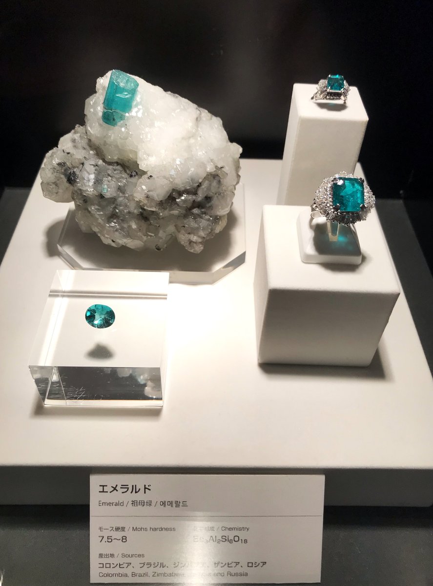 やませちか💎8巻発売 宝石商のメイド tweet media