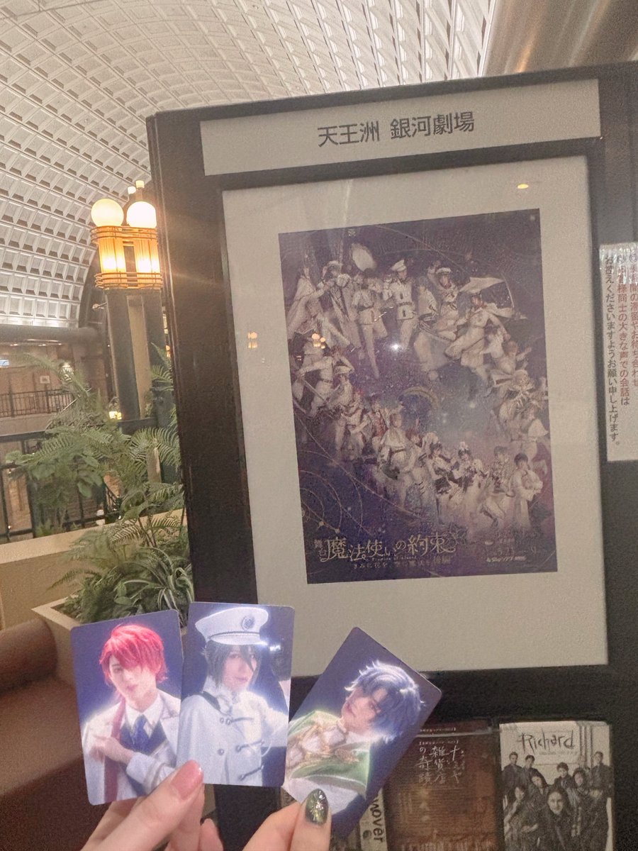 紫苑.*･ﾟ💐 tweet media
