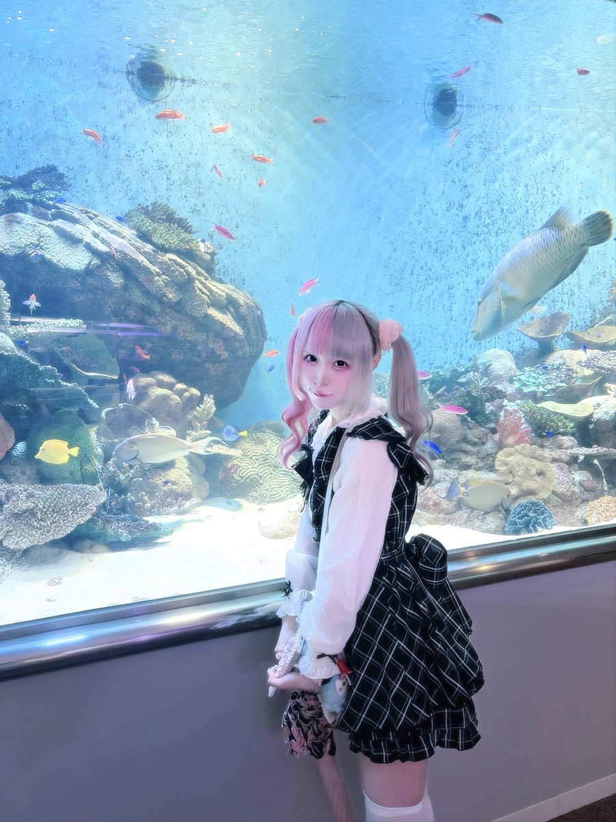 みるぽぽさん tweet media