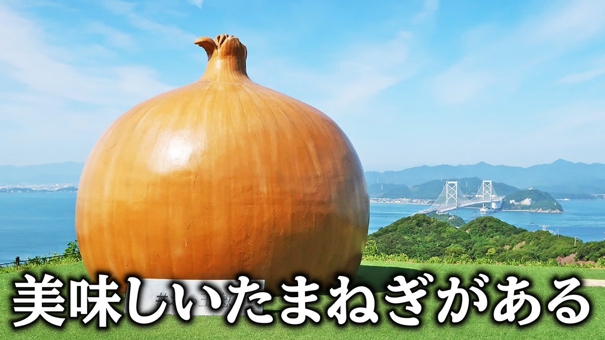 小波ウィン🌊️️🩵 tweet media