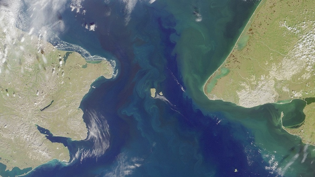 FOCUS online Earth tweet media