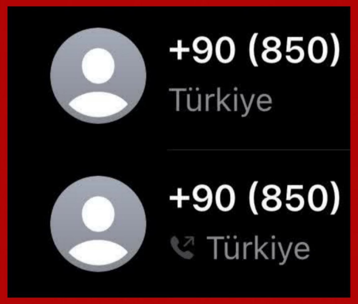 Gökçe Katun tweet media