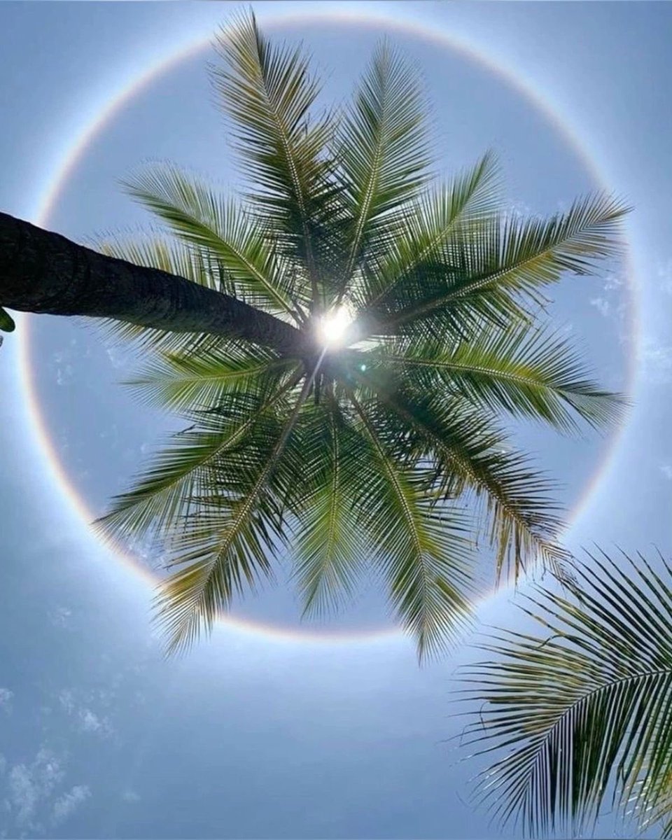 HeavenOnEarth tweet media