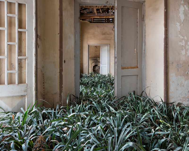 AestheticaMag's tweet photo. In June 2026, @GETXOPHOTO International Image Festival will celebrate its 20th anniversary. 

This year’s theme is RESET, welcoming projects that showcase experiences of change, reworking, recycling and reinvention. 

28 May - 21 June: https://t.co/FmT6HoNvxv https://t.co/hv0hLeEPHy