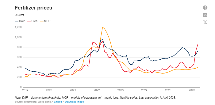 World Bank Data tweet media