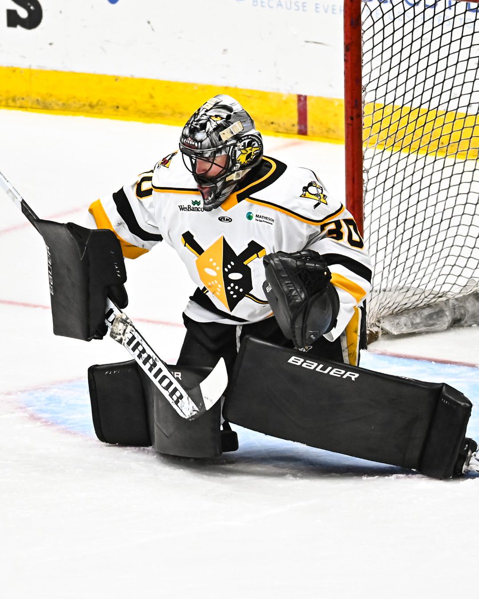 ECHL tweet media