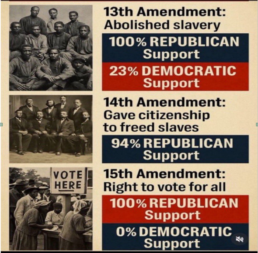 Kathy Ann🇺🇸🐈‍⬛ tweet media