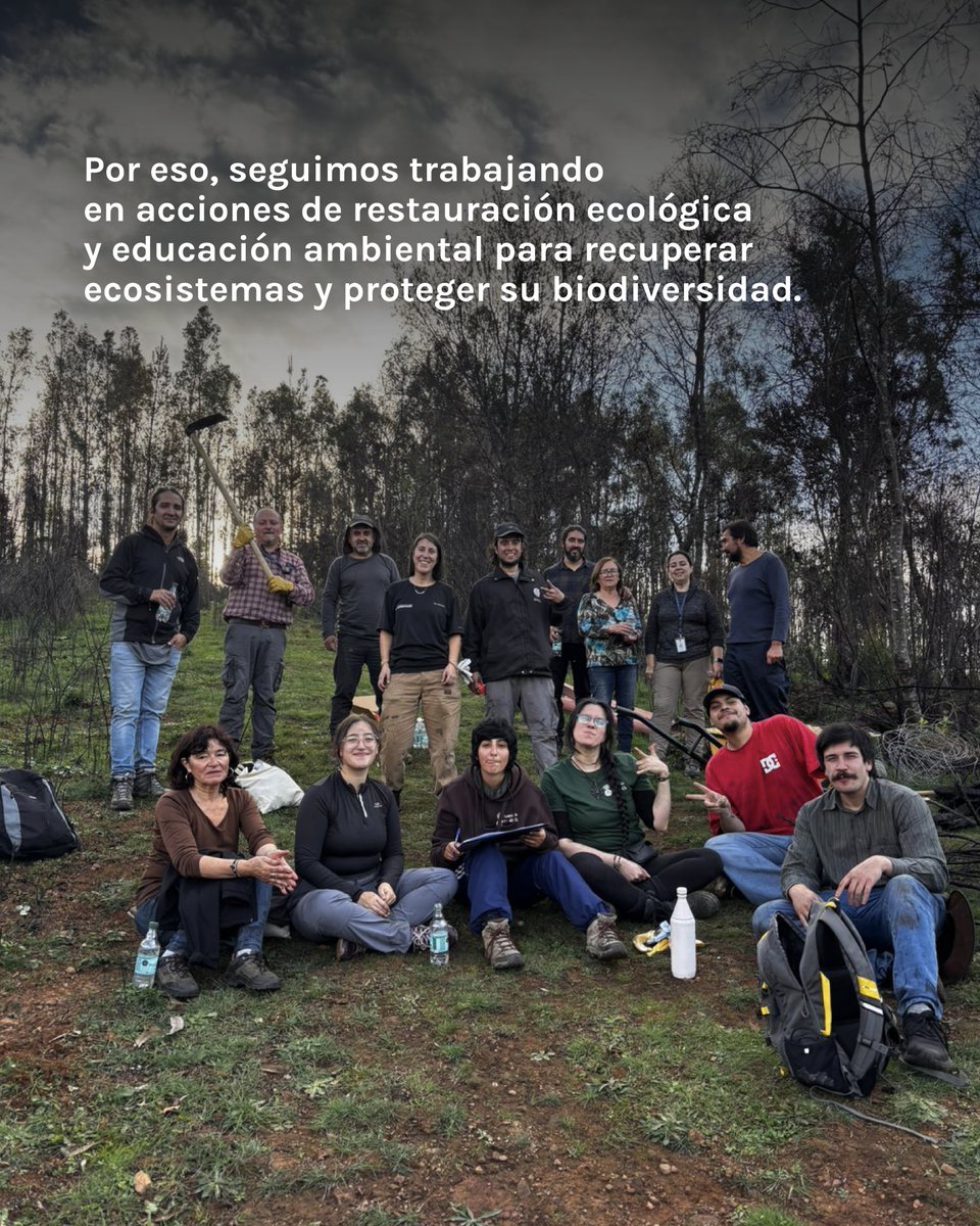 Fundación Reforestemos tweet media