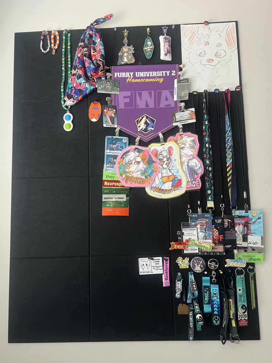 rovethewolf's tweet photo. I moved, which means new furry wall, with a lot of room. We need to work on filling it up people! https://t.co/R5SfQfAoyl