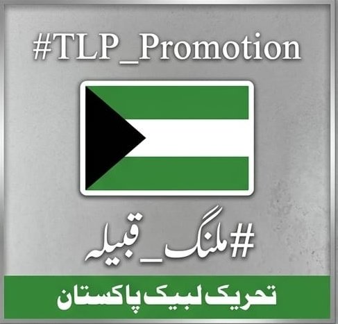 🇵🇰مرشد بھائ🇵🇰 tweet media