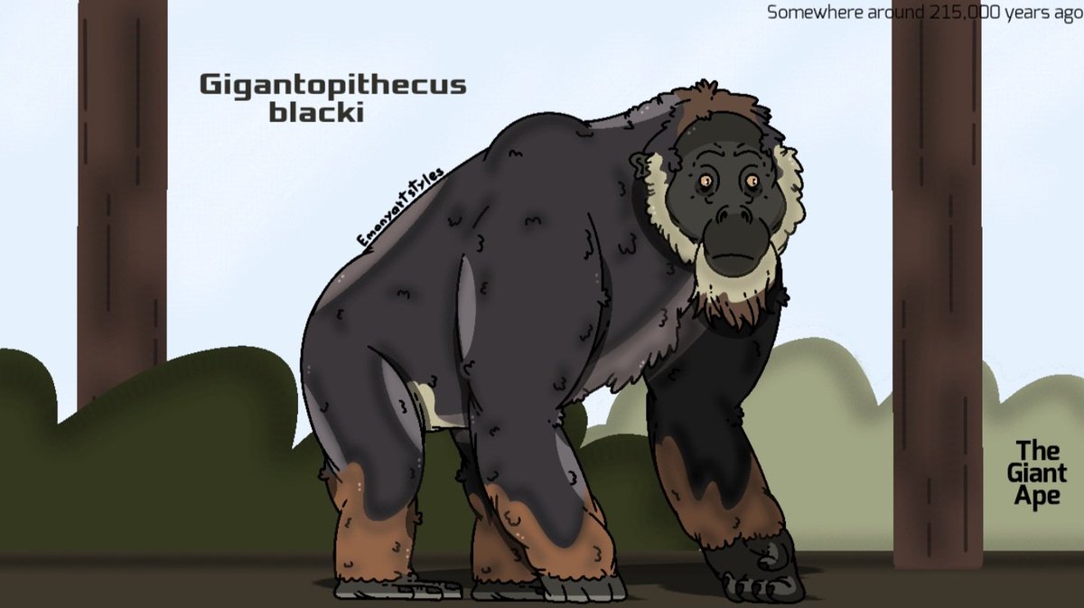 ElijahAllosaur's tweet photo. Gigantopithecus paleoart #Gigantopithecus #paleoart #artㅤㅤ https://t.co/eQZ8WrgVq3
