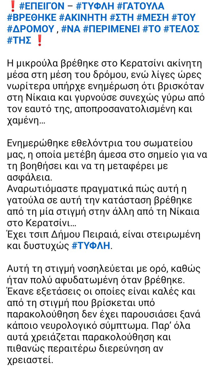 KatKatPt's tweet photo. 🆘️🆘️🆘️
Η μικρούλα βρέθηκε στο Κερατσίνι στη μέση του δρόμου αποπροσανατολισμενη
Διασώθηκε κ διαπιστώθηκε οτι είναι τυφλή
Εχει τσιπ του Δήμου Πειραιά κ είναι στειρωμενη
Δν μπορεί να επιστρέψει στν δρόμο πρέπει να βρεθεί άμεσα φιλοξενία ή υιοθεσία
Rt 🙏 🙏 🙏 https://t.co/585BanfB4M