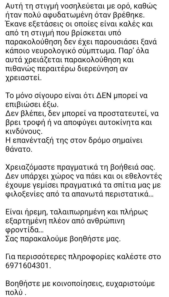 KatKatPt's tweet photo. 🆘️🆘️🆘️
Η μικρούλα βρέθηκε στο Κερατσίνι στη μέση του δρόμου αποπροσανατολισμενη
Διασώθηκε κ διαπιστώθηκε οτι είναι τυφλή
Εχει τσιπ του Δήμου Πειραιά κ είναι στειρωμενη
Δν μπορεί να επιστρέψει στν δρόμο πρέπει να βρεθεί άμεσα φιλοξενία ή υιοθεσία
Rt 🙏 🙏 🙏 https://t.co/585BanfB4M
