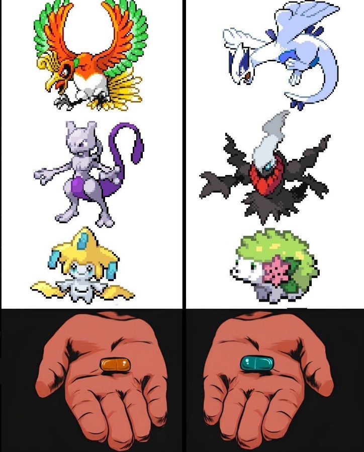 Pokémon Daily tweet media