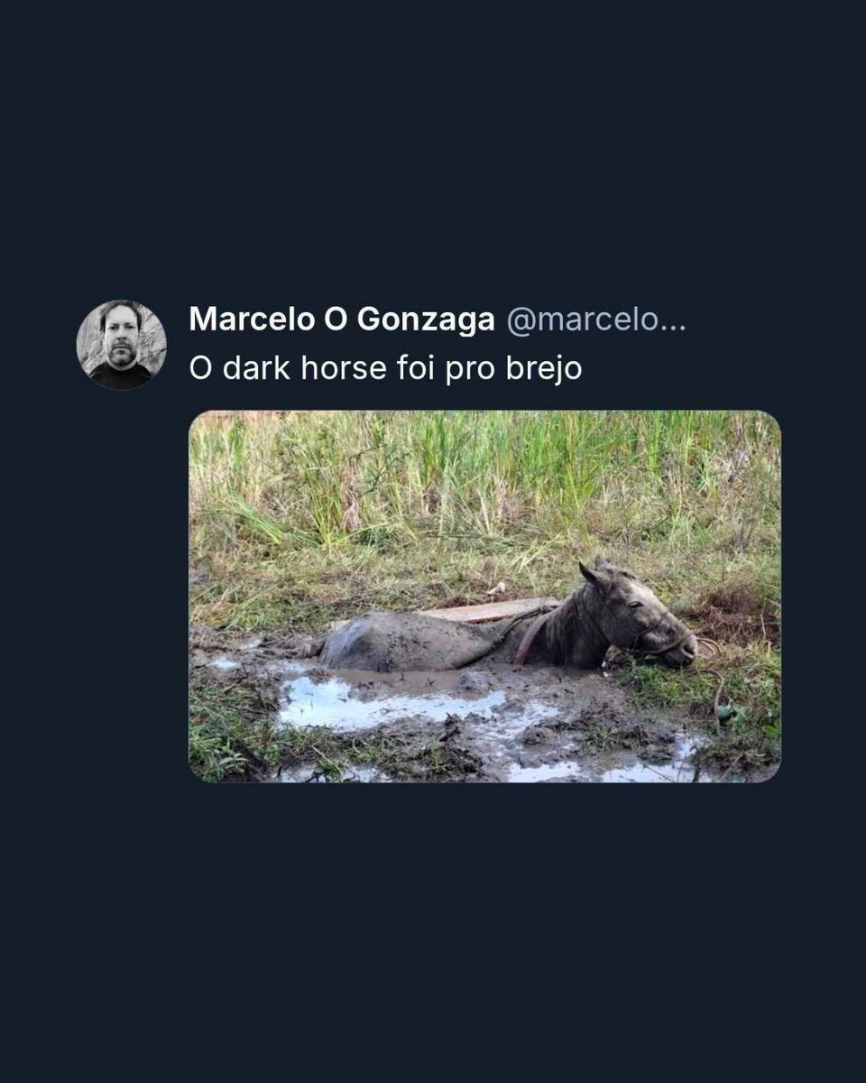 Intercept Brasil tweet media
