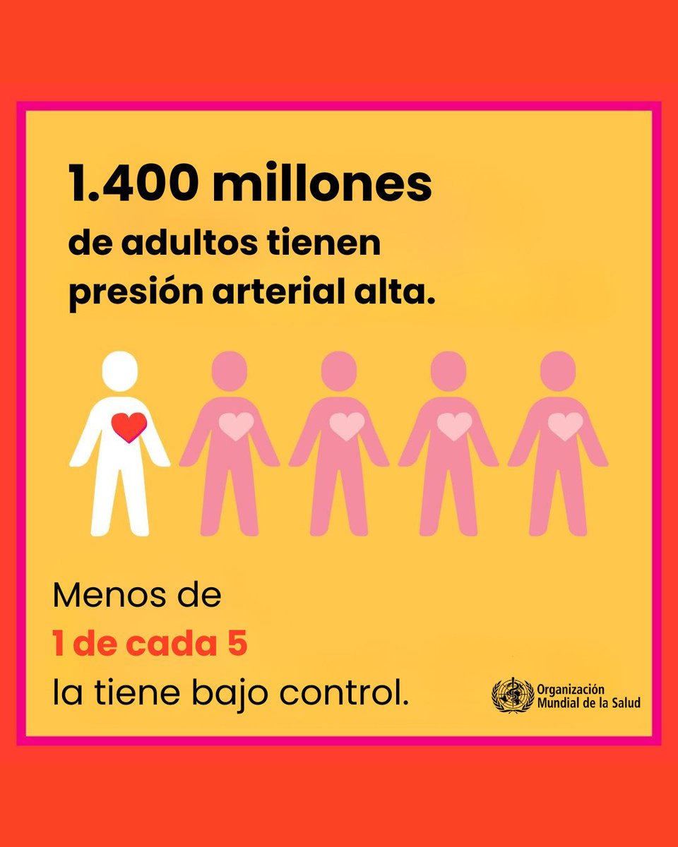 Naciones Unidas tweet media