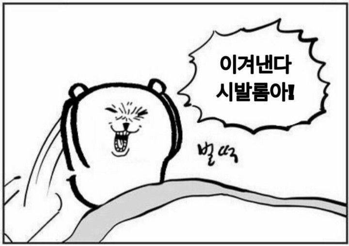 띠둥이 tweet media