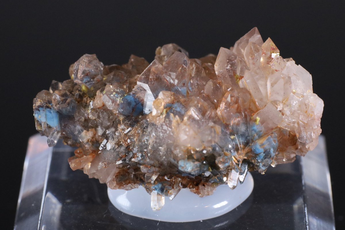 YA_minerals's tweet photo. 浅草石フリマ戦利品、@cutestone_jp さんにてパパゴアイトinクォーツ。透明感の高いクラスター内に鮮やかなパパゴ石が入っておりとても素敵。
今年サンマリーに行くとお伝えしたところ、現地での注意点等をとても丁寧に教えていただきました。ありがたすぎる…！
#石フリマ 
#浅草石フリマ https://t.co/8nV1wC8xzy